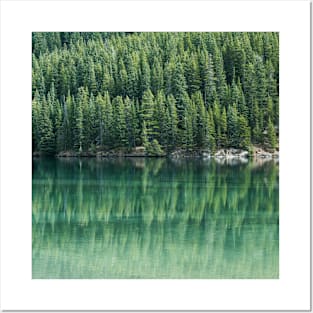 SCENERY 29 - Lake Water Forest Swamp Wilderness Posters and Art
